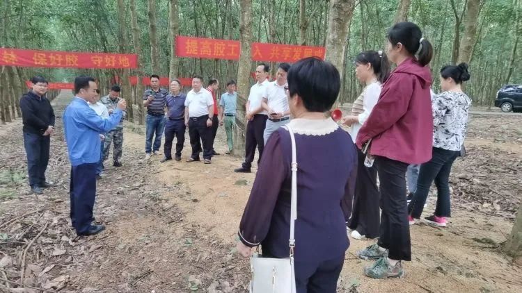 全國割膠冠軍張健給各單位學(xué)員做標(biāo)準(zhǔn)化膠園建設(shè)及割膠技術(shù)的經(jīng)驗介紹。.jpg